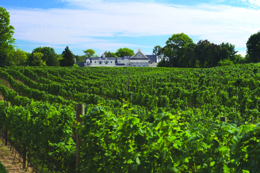 Del Vino Vineyards Northforker Vacation Guide